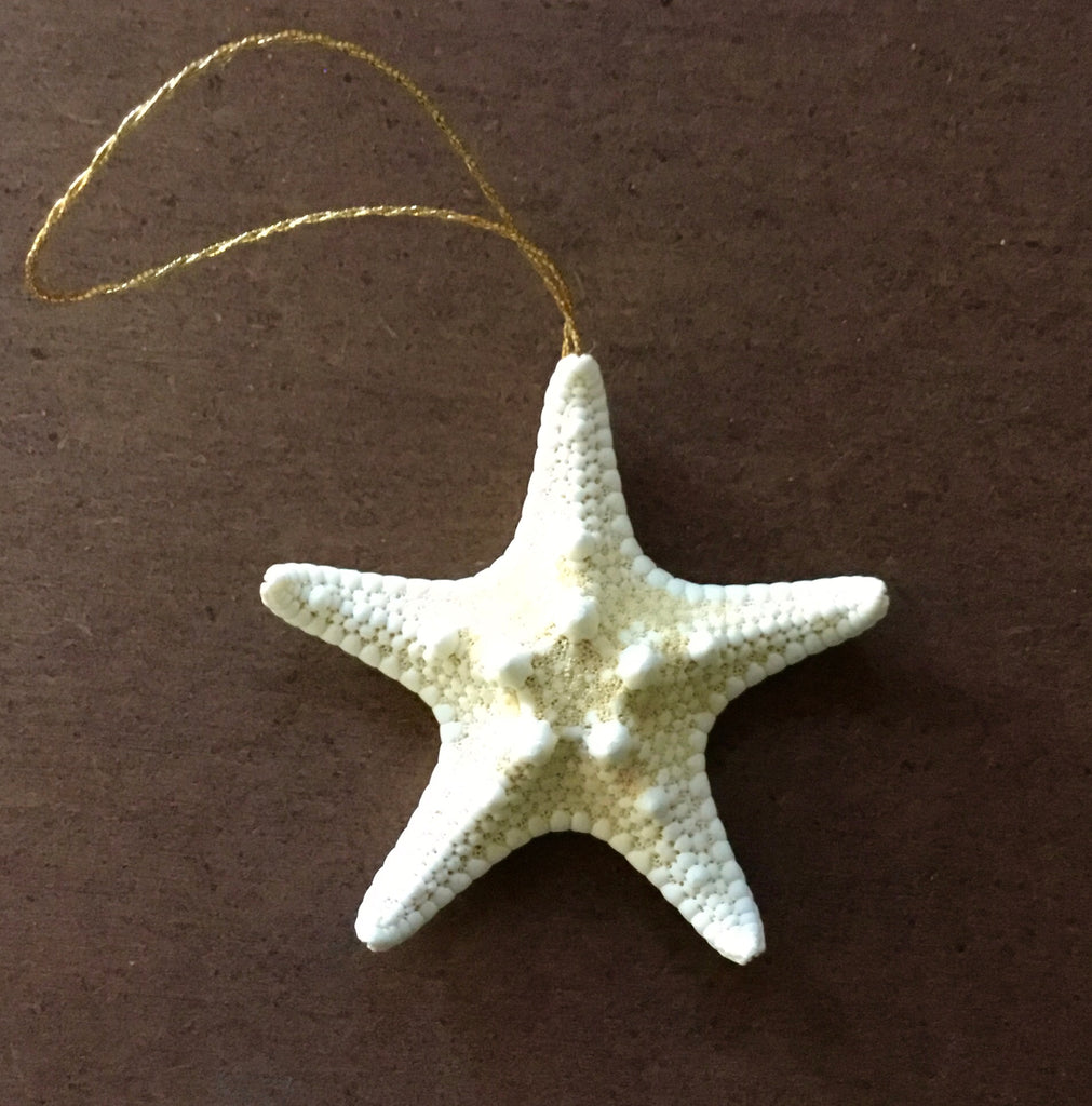Mini Starfish Ornament