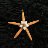 Colorful Starfish Shell Magnet