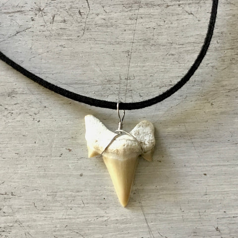 Simple Shark Tooth Leather Necklace