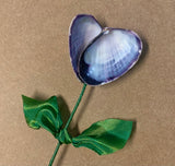 Shell Heart Flowers