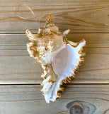 Gold Leaf Shell Ornament