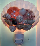 Fancy Scallop Shell Nightlight