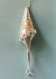 Jeweled Spindle Shell Ornament
