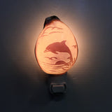 Carved Cowrie Shell Nightlight
