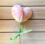Shell Heart Flowers
