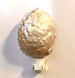Abalone Shell Nightlight