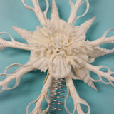 White Seashell Star Tree Top