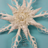 White Seashell Star Tree Top