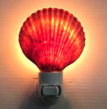 Colorful Scallop Shell Nightlight