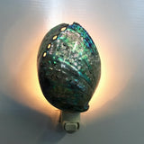 Abalone Shell Nightlight