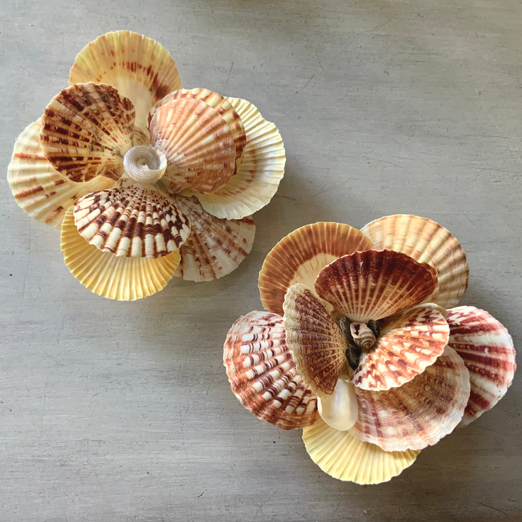 Calico Seashell Wall Flower