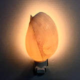 White Melon Shell Nightlight