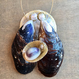 Mussel Shell Manger