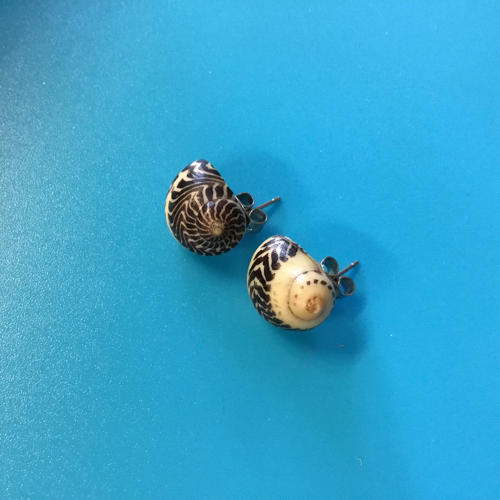 Nerite Shell Stud Earrings