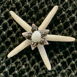 Colorful Starfish Shell Magnet
