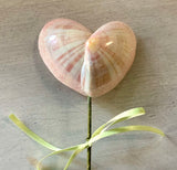 Shell Heart Flowers