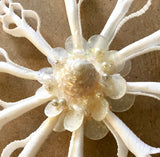 Seashell Snowflake Ornament