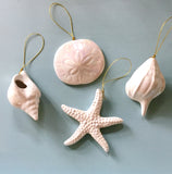 Iridescent Shell Ornament