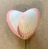 Butterfly Shell Heart Flowers