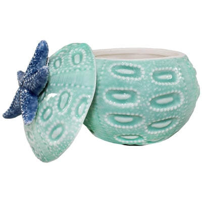 Blue Starfish Urchin Trinket Box