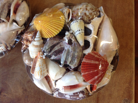 Shell pack