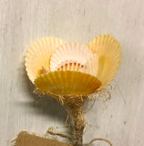 Rainbow Scallop Flower