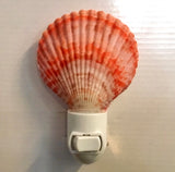 Colorful Scallop Shell Nightlight