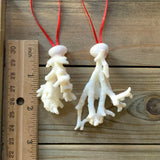 Mistletoe Coral Ornament