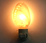 Abalone Shell Nightlight