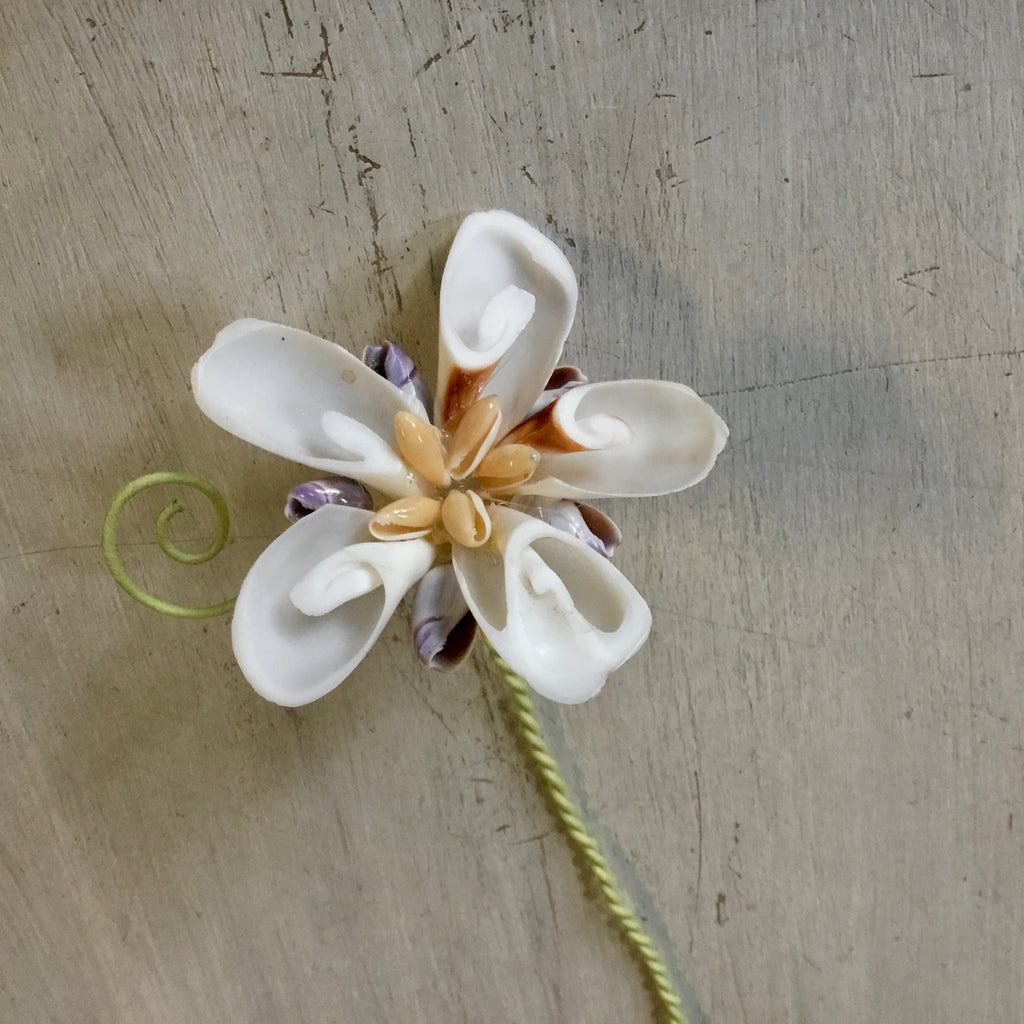 Sliced Shell Flower