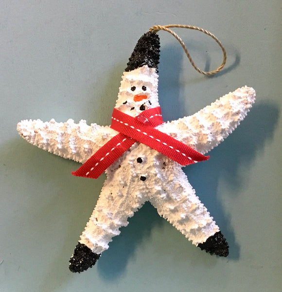 Starfish Shell Star Ornament – Sea Things Ventura