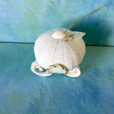 Cinderella Sea Urchin Carriage Ornament