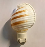 Tonna Shell Nightlight