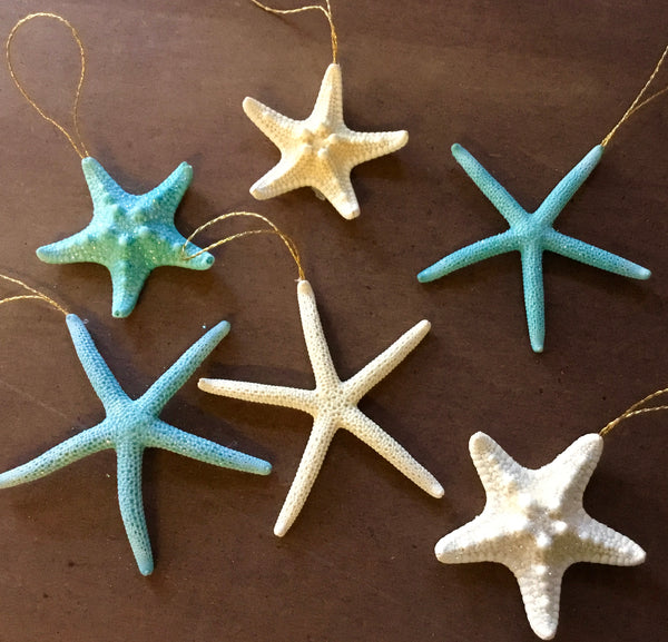 Starfish Shell Star Ornament – Sea Things Ventura