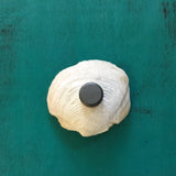 Mini Nativity Shell Scene