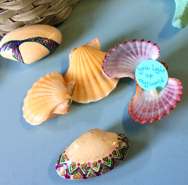 Seashells with Spiral Structures - Project Manaia