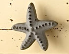 Colorful Starfish Knob