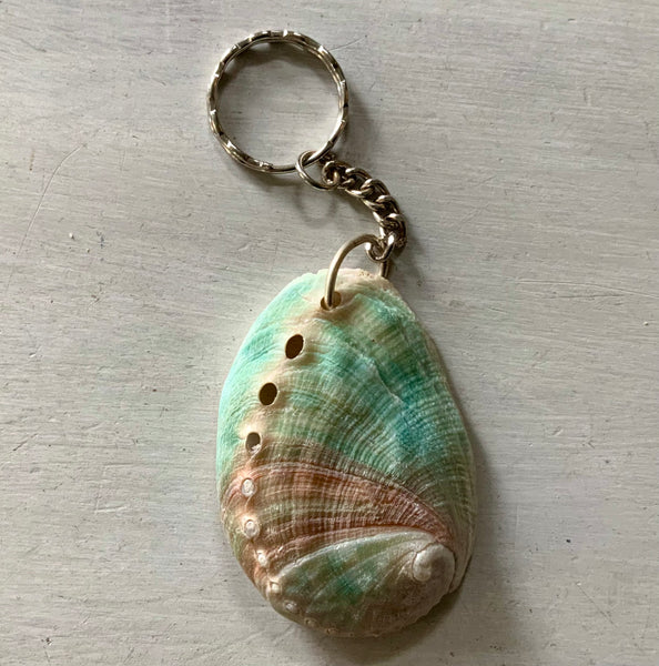 Abalone Shell Keychain Sea Things Ventura