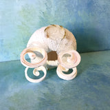 Cinderella Sea Urchin Carriage Ornament