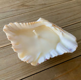 Handmade Seashell Candle