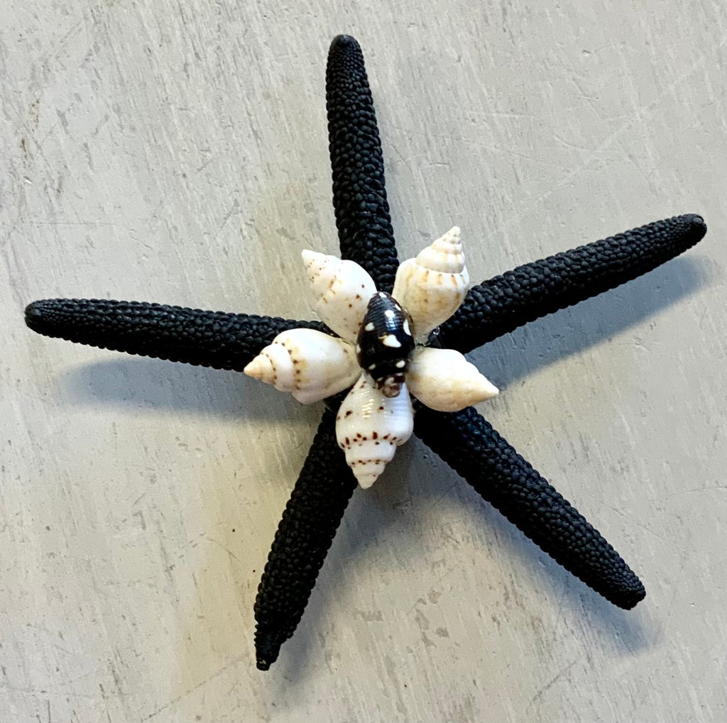 Colorful Starfish Shell Magnet