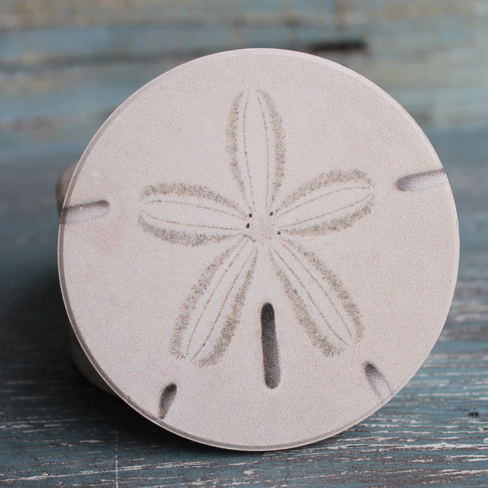 Sand Dollar Car Coaster