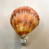 Spondylus Clamshell LED Nightlight
