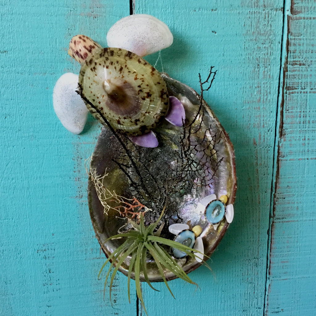 Sea Turtle Abalone Plant Hanger