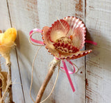 Rainbow Scallop Flower