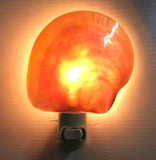 MOP Shell Nightlight