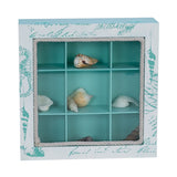 Shell Collection Box