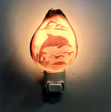 Carved Cowrie Shell Nightlight