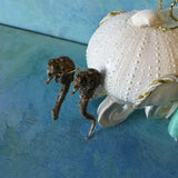Cinderella Sea Urchin Carriage Ornament