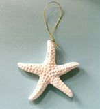 Iridescent Shell Ornament